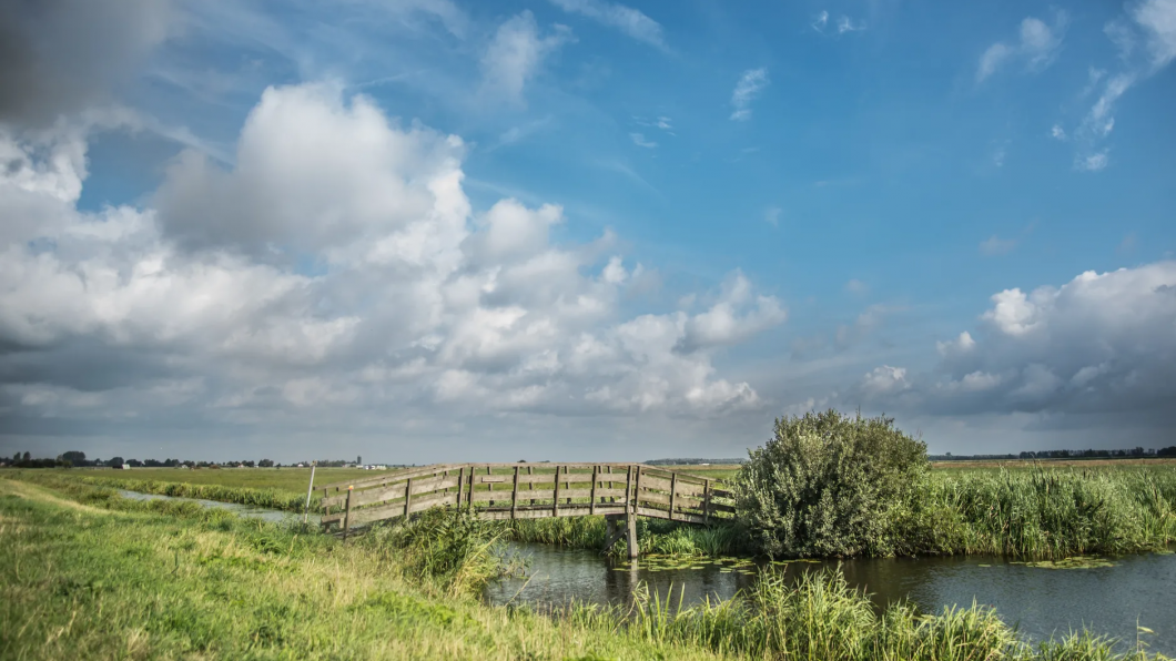 brug tussen weilanden