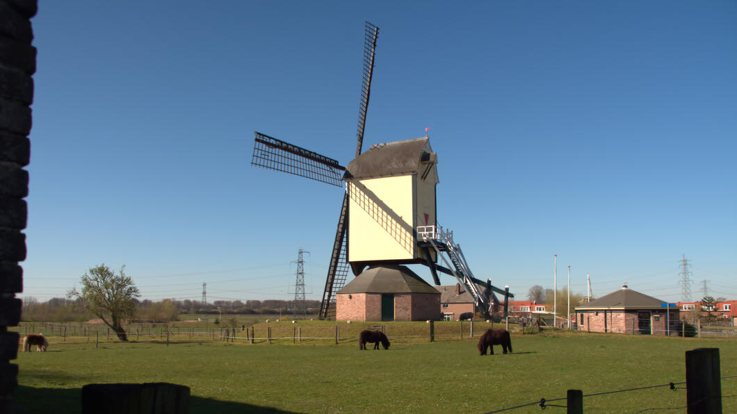 molen