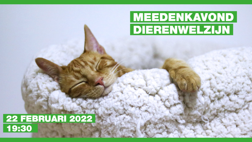 meedenkavond dierenwelzijn