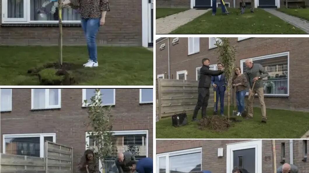 Collage van het planten van bomen in Andelst