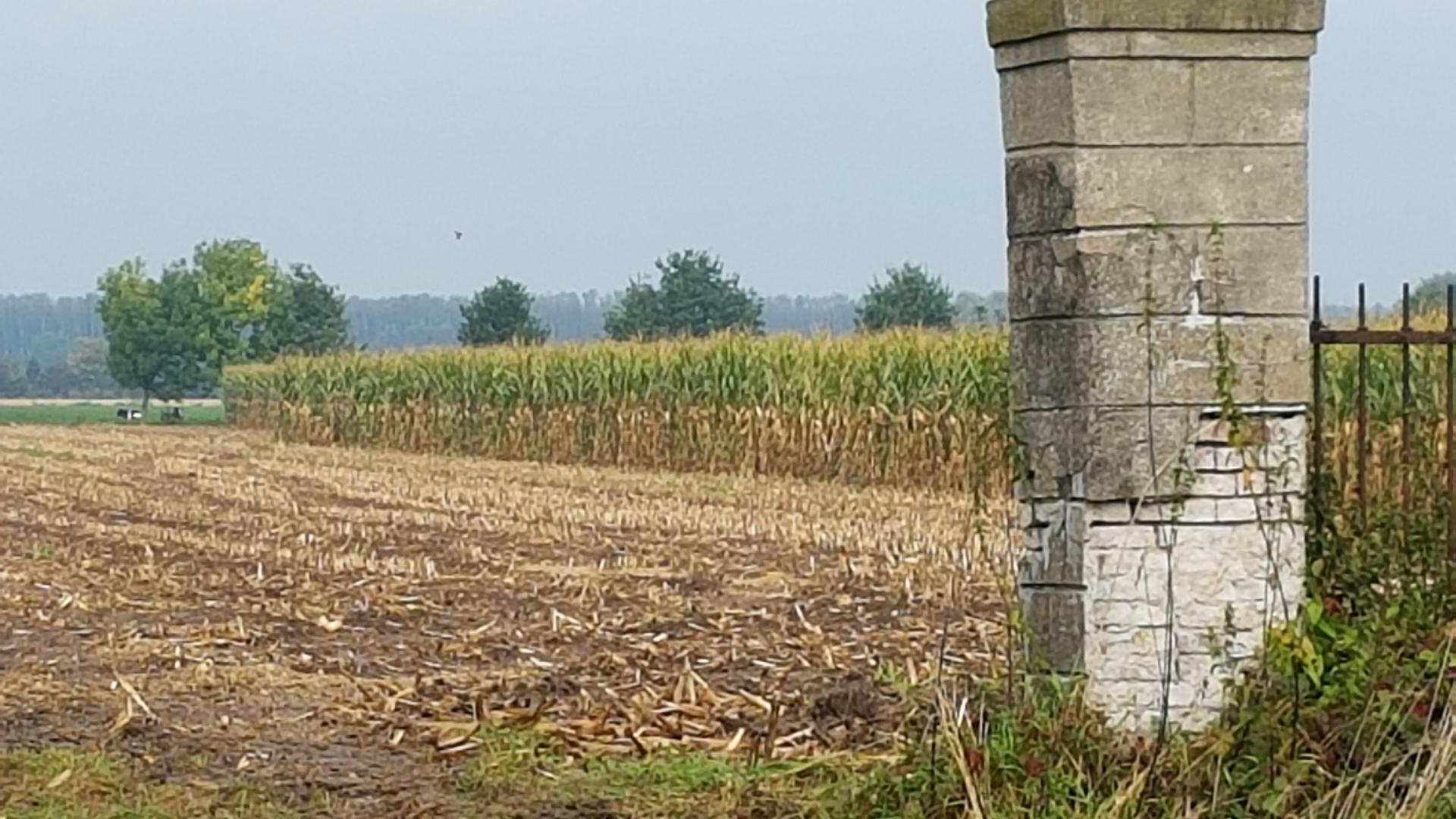 oude poort bij maisveld